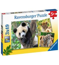 Puzzle Ravensburger Panda, Tigre y León de 3x49 Piezas