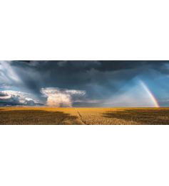 Puzzle Ravensburger Panorama Campo Después de la Tormenta 1000P