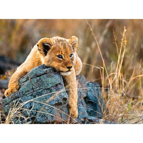 Puzzle Ravensburger Pequeño León XXL de 200 Piezas Puzzle Ravensburger Pequeño León XXL de 200 Piezas