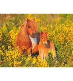 Puzzle Ravensburger Poni de las Shetland XXL de 100 Piezas