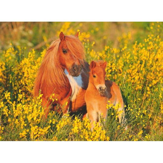 Puzzle Ravensburger Poni de las Shetland XXL de 100 Piezas Puzzle Ravensburger Poni de las Shetland XXL de 100 Piezas