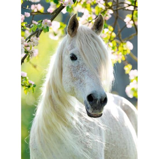 Puzzle Ravensburger Primavera Ecuestre de 500 Piezas Puzzle Ravensburger Primavera Ecuestre de 500 Piezas