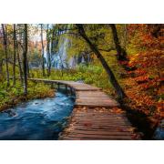 Puzzle Ravensburger Sendero Otoñal En El Bosque de 1000 Piezas