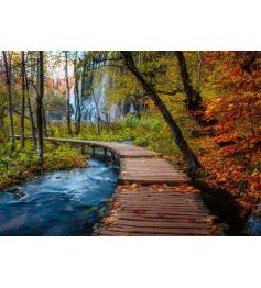 Puzzle Ravensburger Sendero Otoñal En El Bosque de 1000 Piezas
