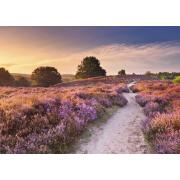 Puzzle Ravensburger Sendero Rosa de 1000 Piezas