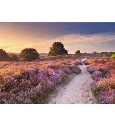 Puzzle Ravensburger Sendero Rosa de 1000 Piezas
