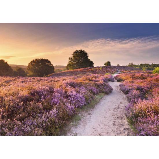 Puzzle Ravensburger Sendero Rosa de 1000 Piezas