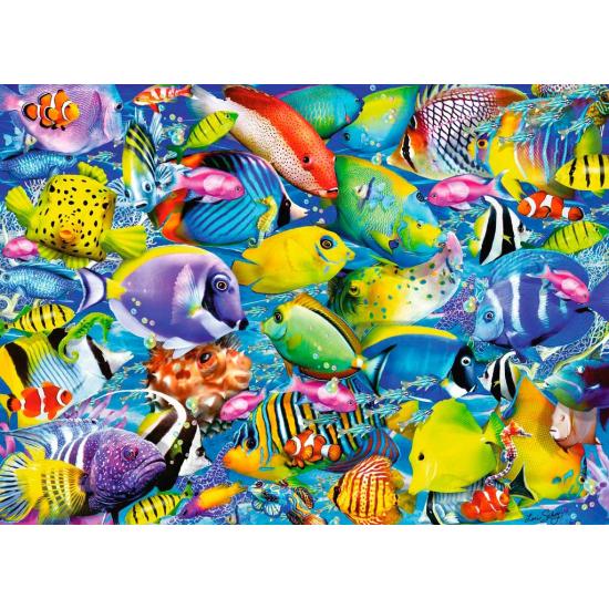 Puzzle Ravensburger Tráfico Tropical 500 Piezas