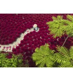Puzzle Ravensburger Un Mar De Rojo de 500 Piezas