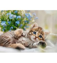 Puzzle Ravensburger Un Ramo de Dulzura de 500 Piezas