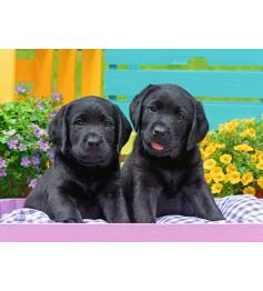 Puzzle Ravensburger Vida de Perritos XXL 300 Piezas