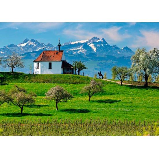 Puzzle Ravensburger Wasserburg del Lago de Constanza de 1000 Pi