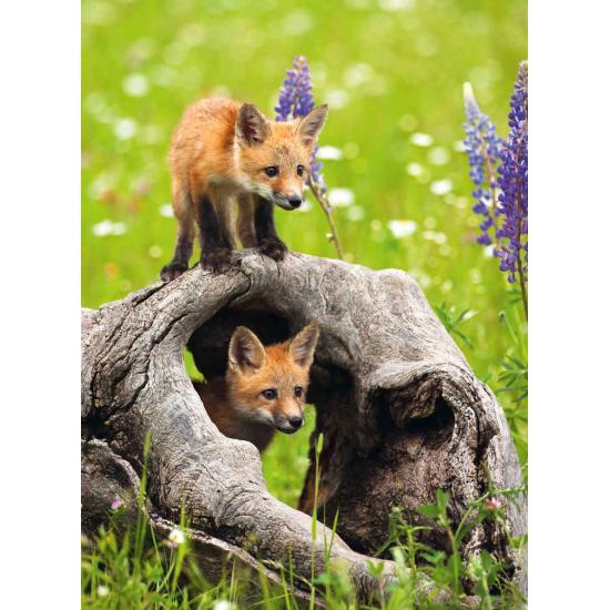 Puzzle Ravensburger Zorros Curiosos XXL 300 Piezas Puzzle Ravensburger Zorros Curiosos XXL 300 Piezas