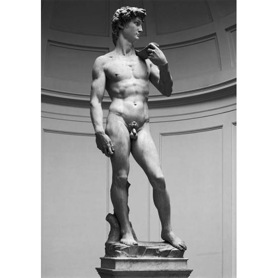 Puzzle Ricordi El David de 1000 Piezas