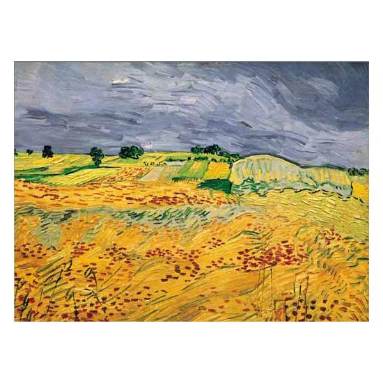Puzzle Ricordi Los Campos de 1000 Piezas Puzzle Ricordi Los Campos de 1000 Piezas
