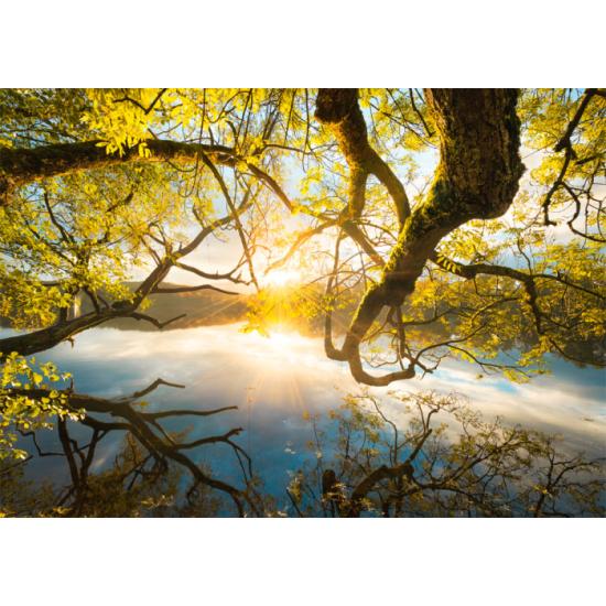 Puzzle Schmidt Abrazo Dorado de 1000 Piezas