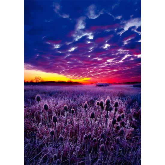 Puzzle Schmidt Amanecer de 1000 Piezas