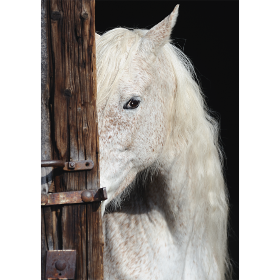 Puzzle Schmidt Belleza Equina de 1000 Piezas