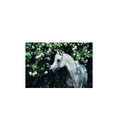 Puzzle Schmidt Caballo Blanco de 1000 Piezas