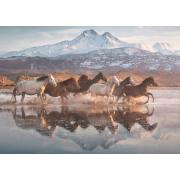 Puzzle Schmidt  Caballos en la Capadocia de 1000 Piezas