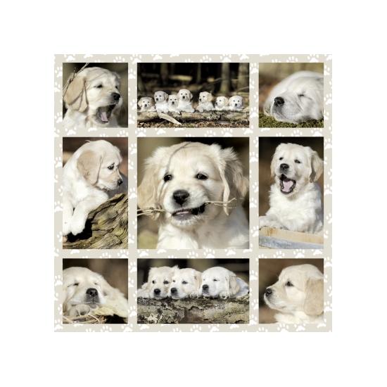 Puzzle Schmidt Cachorros de 1000 Piezas