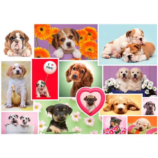 Puzzle Schmidt Collage de Perros de 1000 Piezas