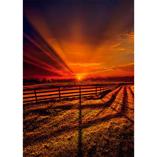 Puzzle Schmidt El Silencio de la Noche de 1000 Piezas