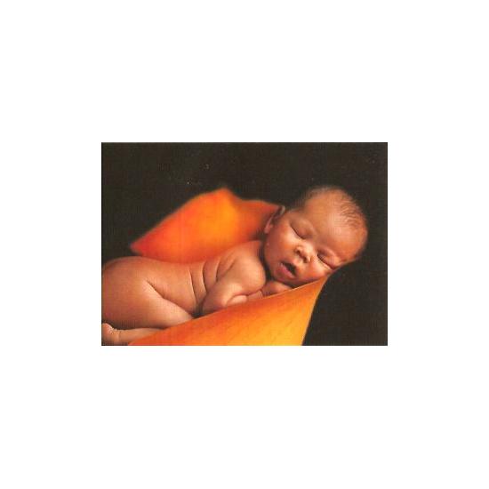 Puzzle Schmidt El Sueño de 1000 Piezas