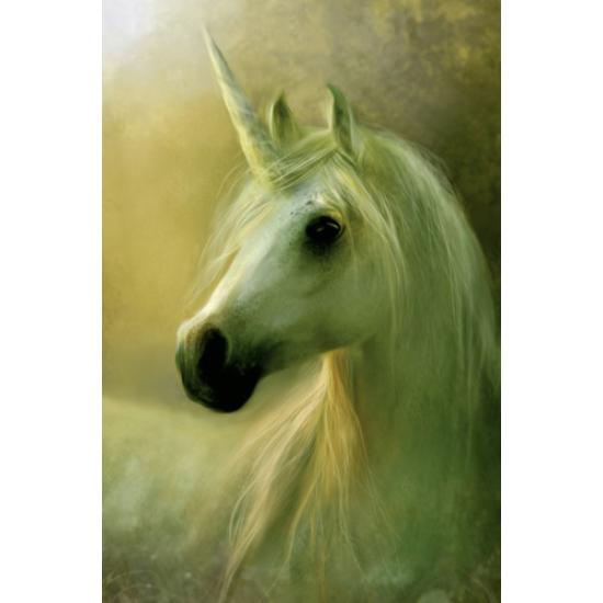 Puzzle Schmidt El Unicornio de 1000 Piezas Puzzle Schmidt El Unicornio de 1000 Piezas