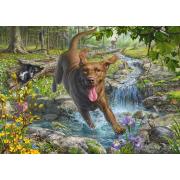 Puzzle Schmidt En Primavera con un Labrador Retriever 1000 Pzs