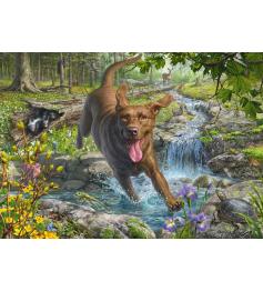 Puzzle Schmidt En Primavera con un Labrador Retriever 1000 Pzs