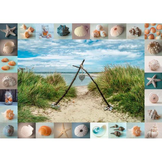 Puzzle Schmidt Encontrados en la Playa de 1000 Piezas