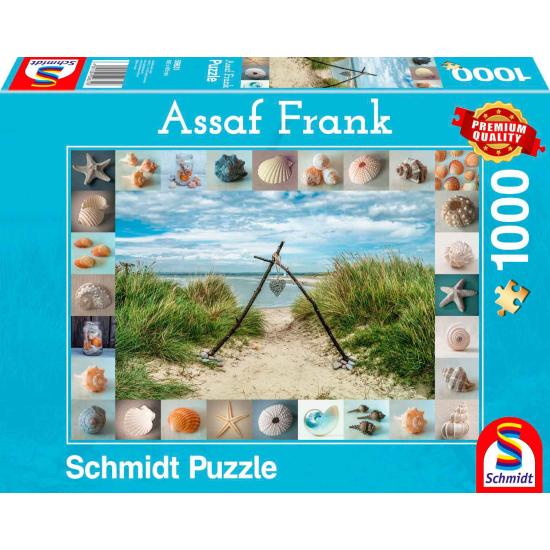 Puzzle Schmidt Encontrados en la Playa de 1000 Piezas