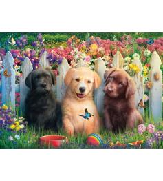 Puzzle Schmidt Escena De Cachorros Adorables 1000 Pzs