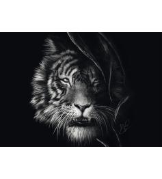 Puzzle Schmidt Ferocidad, Tigre: Libertad 1000 Piezas