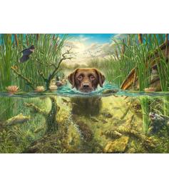 Puzzle Schmidt Labrador Chocolate en Chapuzón Refrescante 1000P