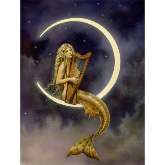 Puzzle Schmidt Melodía Noctura, Serenata de 1000 Piezas