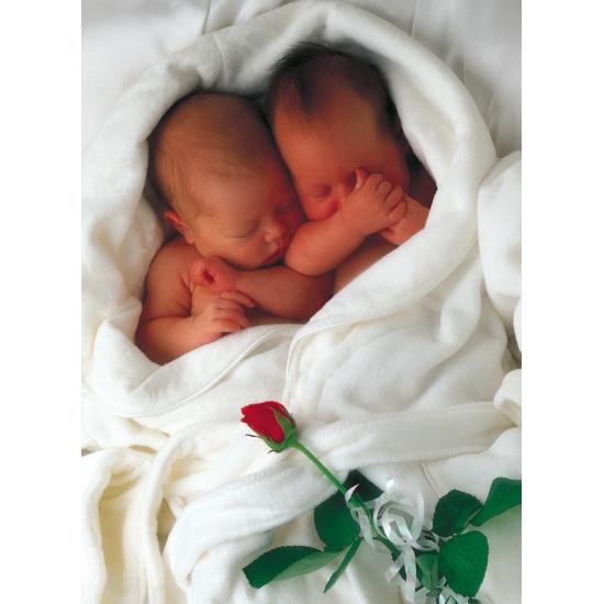 Puzzle Schmidt Milly y Natalie de 1000 Piezas