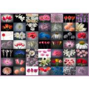 Puzzle Schmidt Mix de Flores de 2000 Piezas