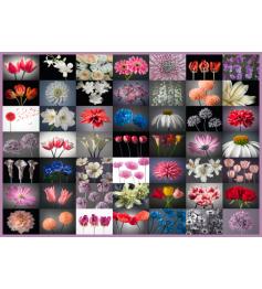 Puzzle Schmidt Mix de Flores de 2000 Piezas