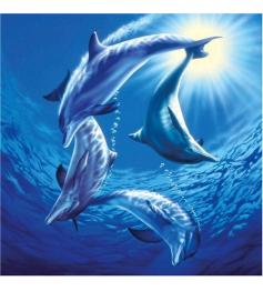 Puzzle Schmidt Familia de Delfines de 1000 Piezas