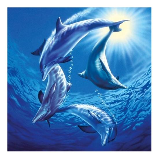 Puzzle Schmidt Familia de Delfines de 1000 Piezas Puzzle Schmidt Familia de Delfines de 1000 Piezas