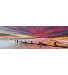 Puzzle Schmidt Playa de MccRae, Australia de 1000 piezas