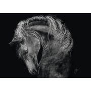 Puzzle Schmidt Potencia, Caballo: Fuerza 1000 Piezas