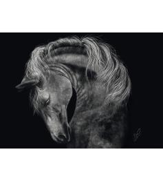 Puzzle Schmidt Potencia, Caballo: Fuerza 1000 Piezas