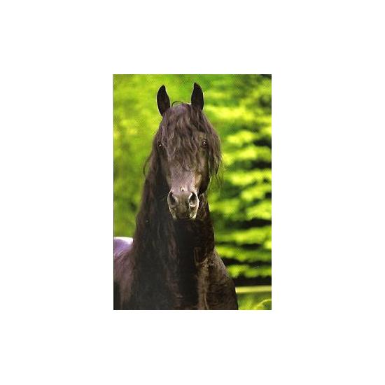 Puzzle Schmidt Retrato de Caballo de 500 Piezas Puzzle Schmidt Retrato de Caballo de 500 Piezas