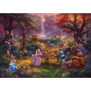 Puzzle Schmidt Robin Hood 1000 Piezas