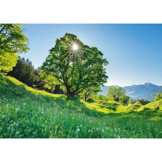 Puzzle Schmidt Sicómoro en Suiza de 1000 Piezas Puzzle Schmidt Sicómoro en Suiza de 1000 Piezas