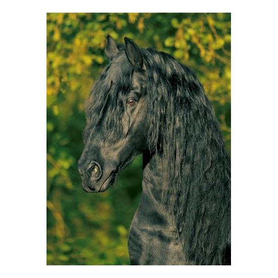 Puzzle Schmidt Timoteo de 1000 Piezas