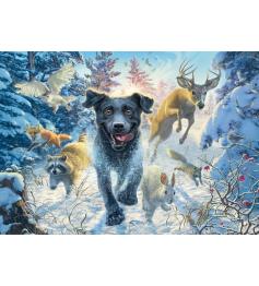 Puzzle Schmidt Un Labrador Negro en la Nieve 1000 Pzs